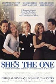 İşte Aradığım Kız / She’s the One (1996) izle